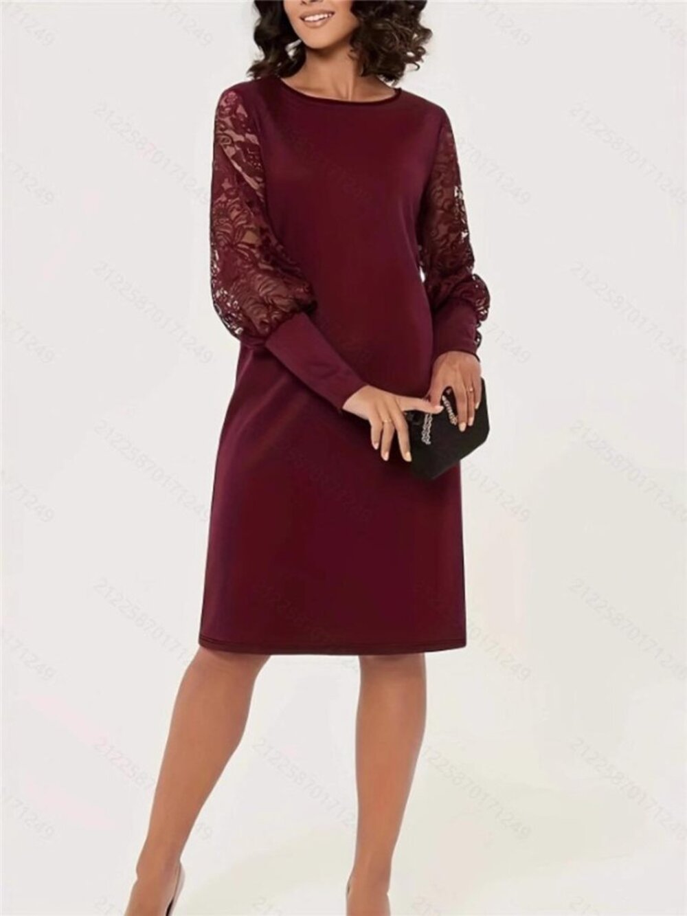 Lace Lantern Sleeve Dress